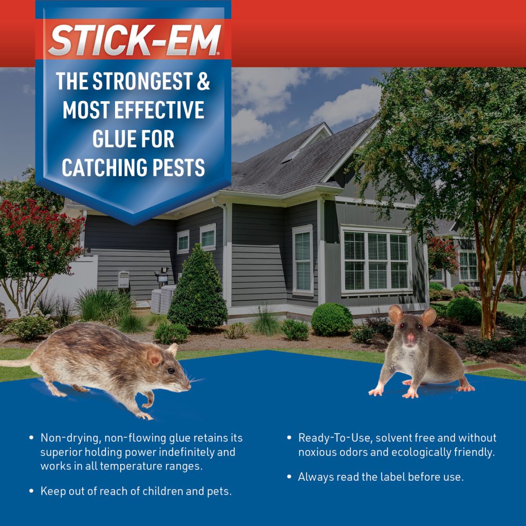 Stick-Em Mighty Glue Board for Rats and Mice - J.T. Eaton