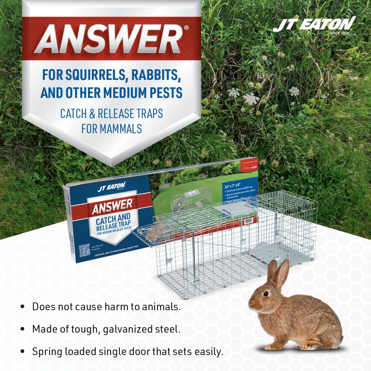 Squirrel Spring Trap Answer Live Catch Trap for Squirrels, Rabbits & Other Medium Pests - J ...